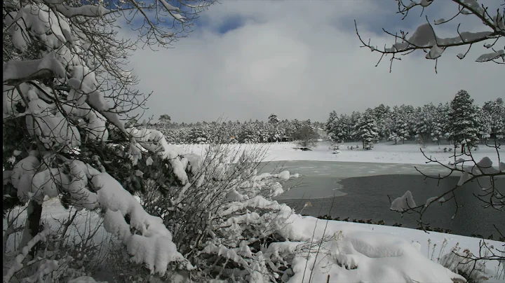 Winter Wonderland - Photography by Sheryl Dawson