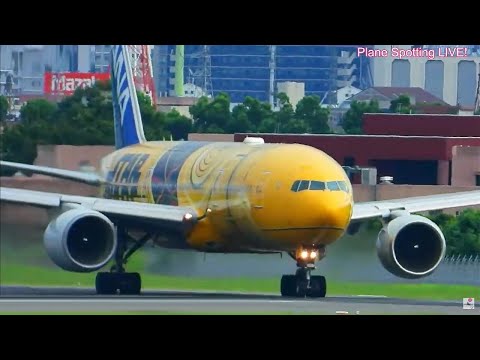 生中継!伊丹空港!! Plane Spotting Osaka Itami Airport 09/03/2025