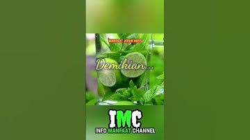 Manfaat Jeruk Nipis. Part 16.