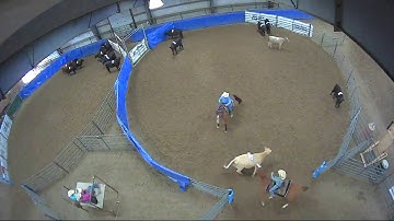 Big Sky Ranch Sorting Saddle Series #5 - #3 - Round #1 - Ride #16