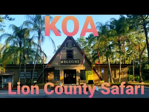 lion country safari koa reviews