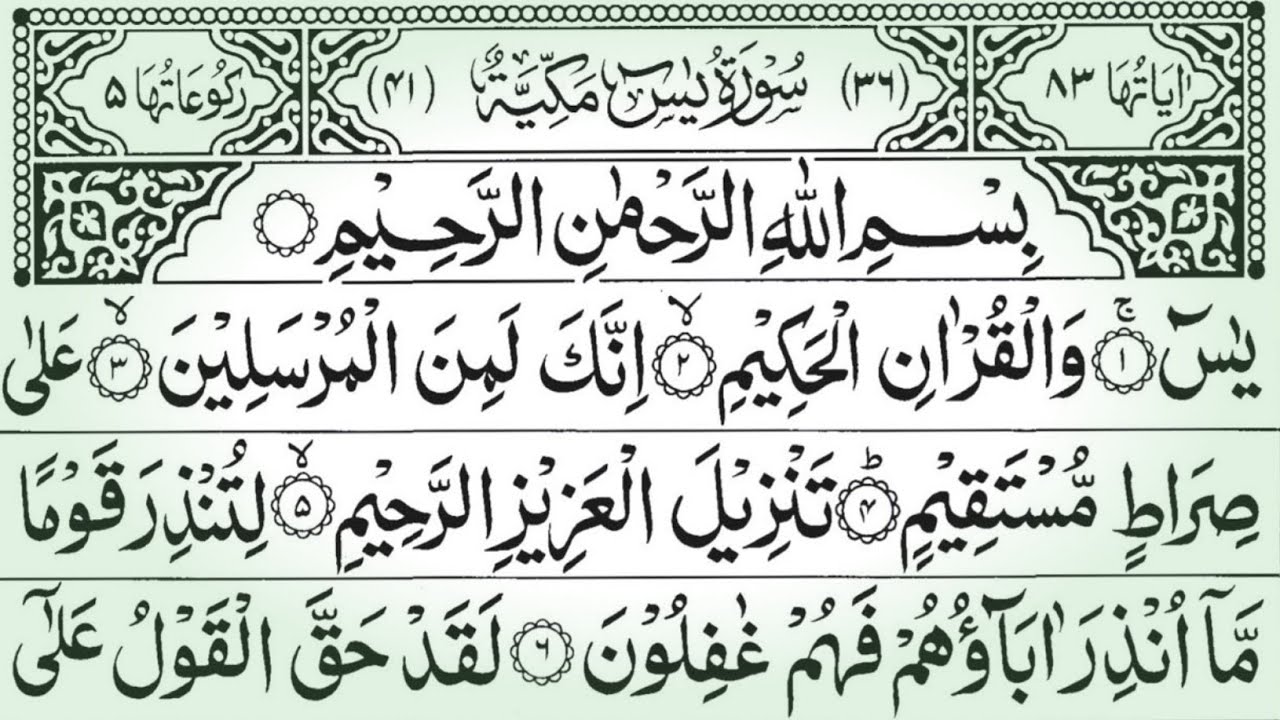 Surah Yaseen Heart Touching Tilawat 💯 Surah Rahman 💓 Surah Mulk & Ayatul Kursi | Vol.796