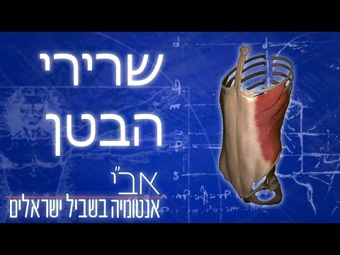 וִידֵאוֹ: איך לשאוב את שרירי הבטן של הבחור