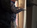 the process of smoothing the Padang cement mixture for making walls  #shorts