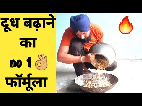 गाय भैंस का दूध बढ़ाने का घरेलू नुस्खा|Desi formula for increase milk of cow/Buffalo