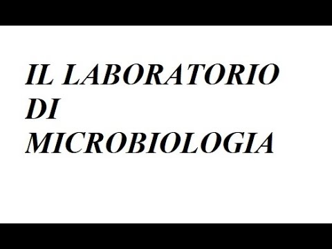 Video: Che cosa sono le tecniche asettiche nel laboratorio di microbiologia?