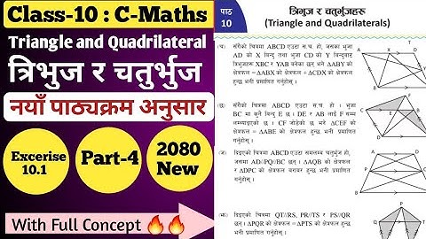Triangle and Quadrilaterals | Class 10 Math Chapter 10 | exercise 10.1
