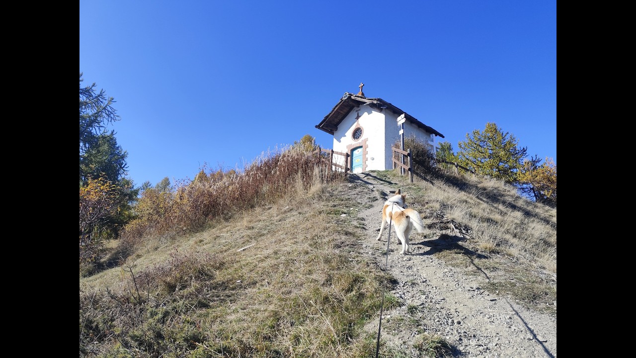 Escursione da Amazas (Oulx) alla cappella Madonna del Cotolivier 18_10_2025