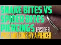 Snake Bites VS Spider Bites   Pros & Cons by a Piercer EP61