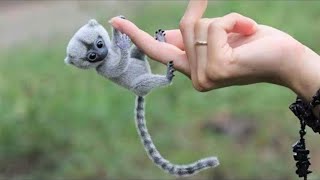 20 Small And Cute Exotic Animals You Can Own As Pets