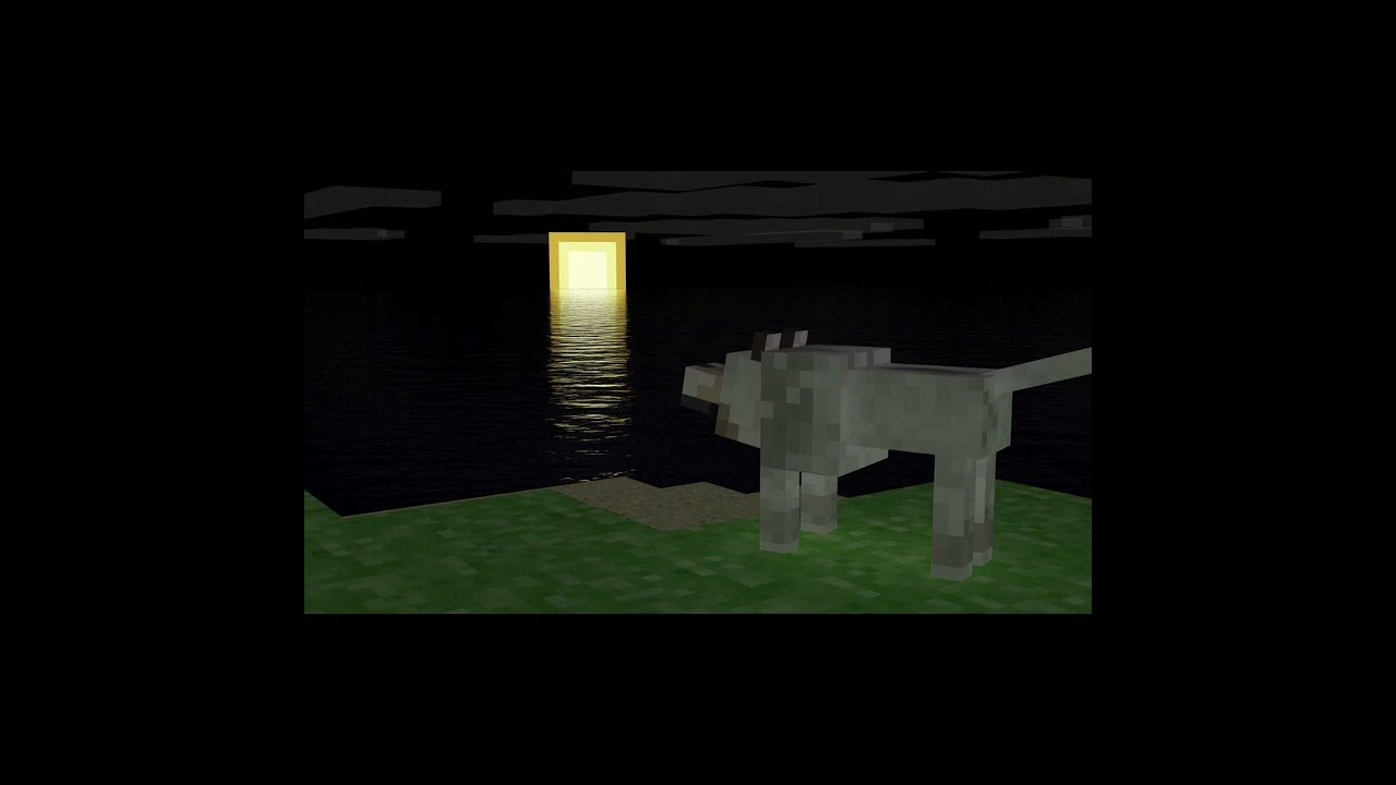 #2 출소일에맞춰서돈뭉치를들고갔어