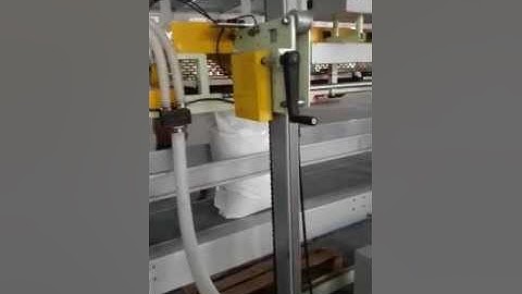 Fully automatic pouch bag packing line with robot palletizing