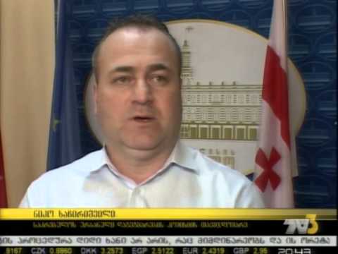 წინასაარჩევნო ბლეფი თუ რეალური პროექტი