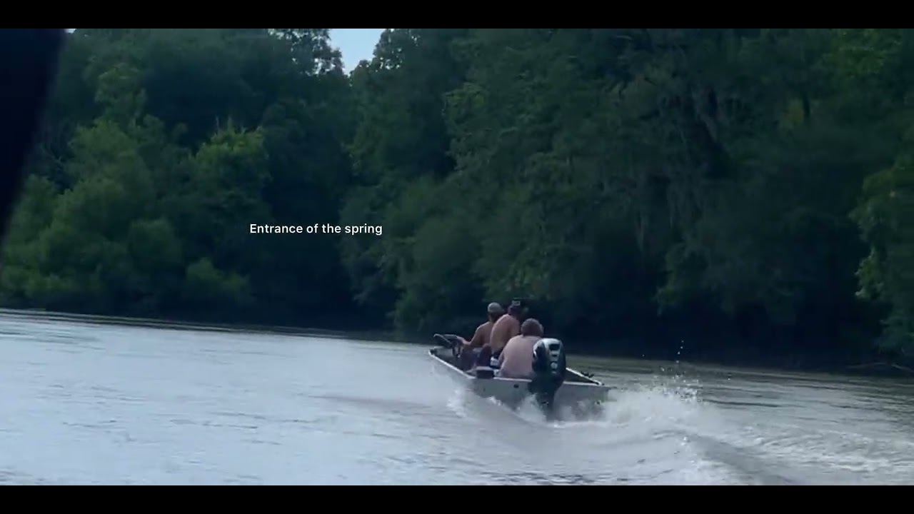 Hidden Spring In Ocmulgee River At Abbeville, GA 🛶🕊🌲 // Countryside Dwellers YouTube