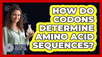 How Do Codons Determine Amino Acid Sequences?