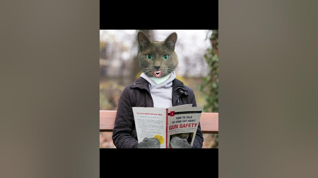 How to Talk to Your Cat About Gun Safety by Zachary Auburn: 9780451494924 |  : Books