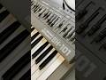SH-101 with Tubbutec showing filter and volume accent mod #rolandsh101 #tubbutec