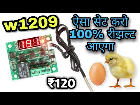 How to set Temperature Controller W1209 for Egg Incubator || 100% Hatching Result | w1209 Full