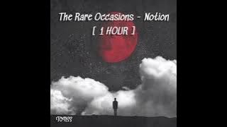 The Rare Occasions - Notion [ 1 HOUR ]