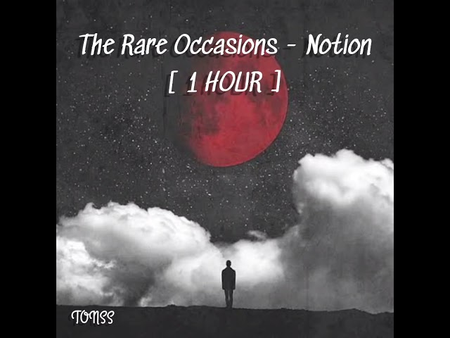 The Rare Occasions - Notion [ 1 HOUR ] class=