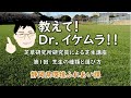 教えて！Dr．イケムラ！！　芝草研究所研究員による芝生講座　第1回　芝生の種類と選び方