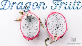Dragon Fruit Strain review