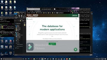 Mongoose Express React Node.js MongoDB How to hook up API database and client