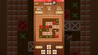 Push Box Game Professional Level 2 Net Worth