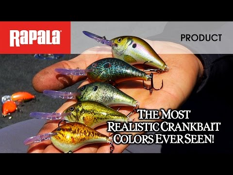 Rapala Crush City: The Pinnacle of Lure Innovation for Every Angler