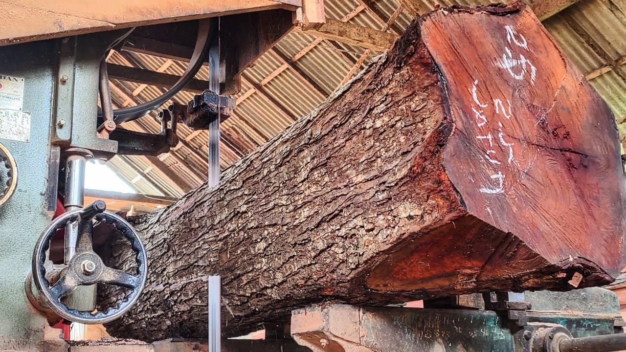 Look! The Challenge of Sawing Old and Hardest Mahogany Wood - YouTube