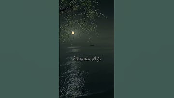 ما تيسر من سوره المؤمنون من الآيه 97 | 103🎧🎶🤎😌#قرآن #محمد_اللحيدان #اكسبلور #quran #quran_alkarim