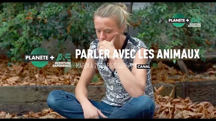 Entre travail et vie de chien (extrait de "Parler avec les animaux" sur PLANÈTE+ A&E)