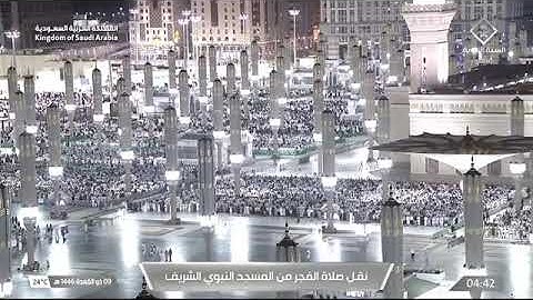 صلاة الفجر للشيخ د.#عبدالله_البعيجان الأربعاء 9 ذو القعدة 1446هـ من سورة النساء 48-65 #المسجد_النبوي