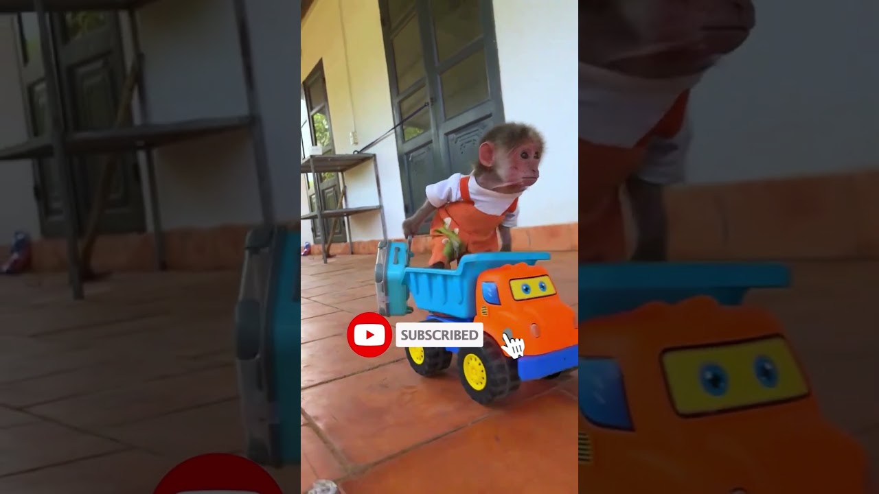 أسرع واحد ينضّف بيت 😳⚡