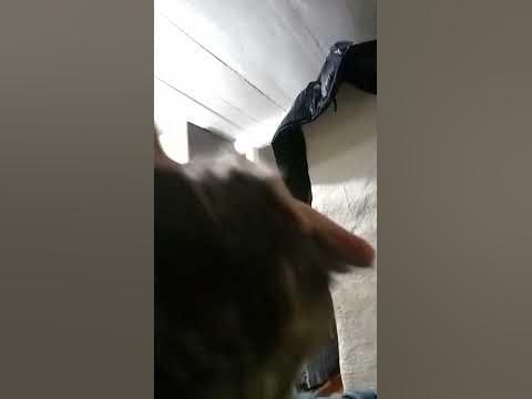 Арешнев - YouTube