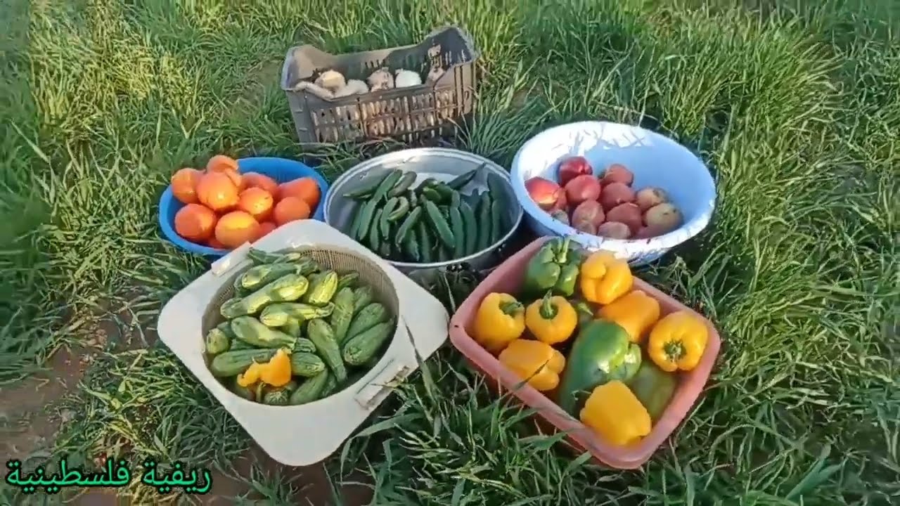 تعمل خير يرجعلك تعمل شر يرجعلك