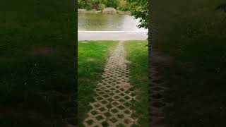 LAGO ARTIFICIAL, SARRIGUREN. ESPAÑA, PAMPLONA , NAVARRA.🏞️🏞️🏞️🏞️🏞️🏞️🚣♂️🚣♂️ #shorts .