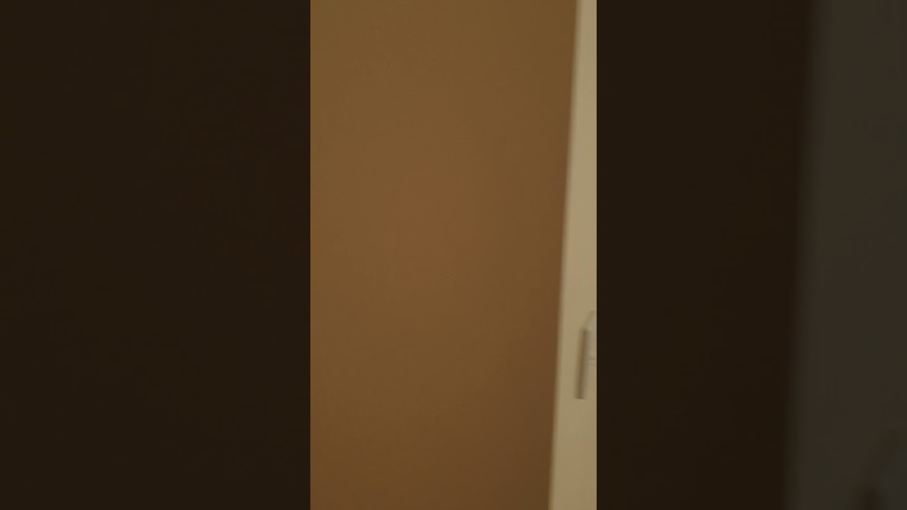 End of lease carpet cleaning