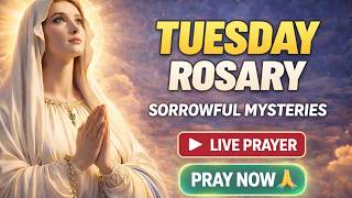 Pray the Rosary Tuesday 🌹 Sorrowful Mysteries | Daily Prayer Together