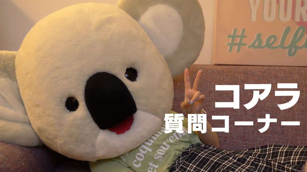 コアラが質問を返します Youtube