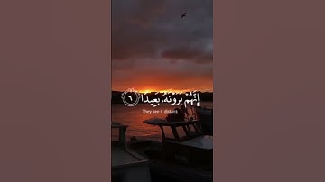 #سورة المعارج_#rose