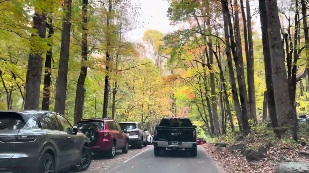 Through Autumn’s Glow to Grotto Falls | Nature’s Perfect Road Trip 🍁🍂