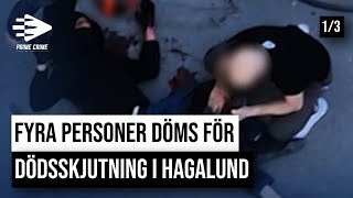 FYRA PERSONER DÖMDS FÖR DÖDSSKJUTNING I HAGALUND | DEL 1/3 screenshot 4