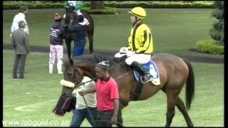 20160406 Greyville Race 5 won by CAPE SPEED