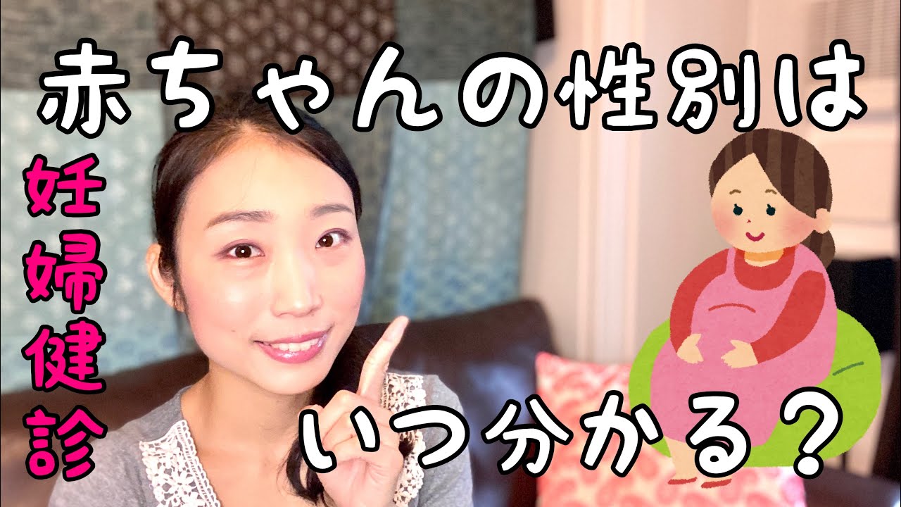 赤ちゃんの性別 妊婦健診でいつ分かる 聞いたら教えてくれる Youtube 赤ちゃんの性別 妊婦健診でいつ分かる 聞いたら教えてくれる Youtube
