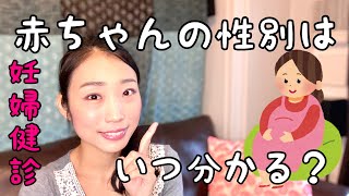 赤ちゃんの性別 妊婦健診でいつ分かる 聞いたら教えてくれる Youtube