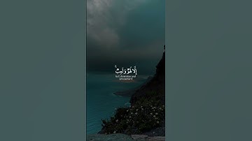القارئ ياسر الدوسري قرآن كريم