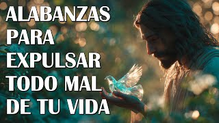 Música Católica 🎶 Señor, Sana Mi Corazón | Alabanzas para Recibir Paz y Sanación Interior