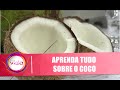 Aprenda tudo sobre o coco com Dr. Claudio Mutti - Vida Melhor - 10/04/19