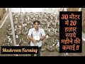 30 मीटर में 20 हज़ार रुपये महीने की कमाई || Mushroom Farming || Hello Kisaan